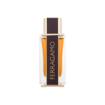 Salvatore Ferragamo Ferragamo Spicy Leather parf&uuml;&uuml;mvesi meestele 100 ml