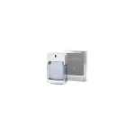 Signature Gray EDT 100 ml