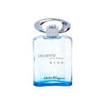 Salvatore Ferragamo Incanto Blue Pour Homme tualettvesi meestele 100 ml