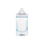 Mercedes Benz Select Day tualettvesi meestele 100 ml tester