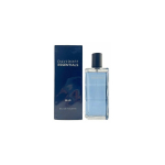 Davidoff Essentials Blue tualettvesi meestele 110 ml