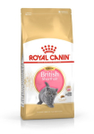 Royal Canin British Shorthair Kassipoega kuiva toitu 2 kg Linnuliha, Riis, Taimed
