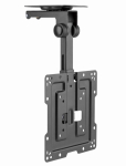 Gembird CM-43ST-01 t&auml;isliikumise TV lae kinnitus, 19'' - 43'', must