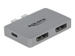 Delock DisplayPort adapter hall