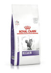 ROYAL CANIN Dentaal - kuiv kassatoit - 1,5kg