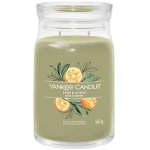 Salvtsitrus & Tsitrusviljad Signature Candle 368,0g