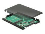 DeLOCK 2.5 to M.2 Key B & mSATA konverter - 9.5 mm salvestusruum
