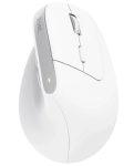 Trust Bayo juhtmevaba + Bluetooth hiir 2400 DPI