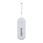 Rainpoint Smart+ nutikas termoh&uuml;gromeeter