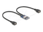 DeLock USB kuni PCI Express Mini Card Adapter (480Mbps)