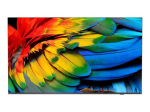 Philips 50HFL6214U 50 4K UHD (2160p) antraciidhall