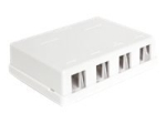 Delock Keystone pinnapealne kast, valge