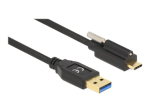 Delock USB Type-C kaabel 50cm must