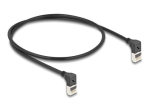 DeLOCK CAT 6a S/FTP 50cm v&otilde;rgukaabel must