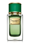 Dolce & Gabbana Velvet Cypress EDP U 150 ml