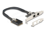 DeLock 1Gbps PCI Express Mini Card v&otilde;rguadapter