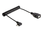 Delock USB-kaabel 50cm