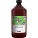 Davines Natural Tech Renewing Shampoo 250 ml