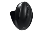 PORT Connect Professional Optiline juhtmevaba adapter must