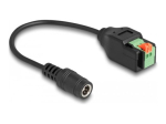 Delock toiteadapter 15cm must