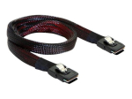 DeLOCK Serial Attached SCSI (SAS) sisemine kaabel 50cm