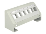Delock Keystone multimeedia paneel, hall