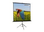 Celexon Economy Tripod Projector Screen