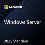 Microsoft Windows Svr Std 2025 64Bit PL DVD 16 tuuma OEM