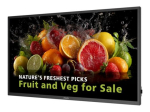 Philips 5000 Series 32BDL5050D 32 1080p TV