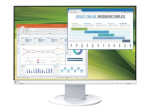 EIZO FlexScan EV2360-WT 22,5 IPS 1920 x 1200 (WUXGA) DVI VGA (HD-15) DisplayPort Monitor