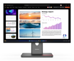 Lenovo ThinkVision P24Q-40 Monitor