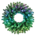 Twinkly eelnevalt valgustatud p&uuml;hk 50 RGB LED roheline juhe, C-t&uuml;&uuml;pi pistik