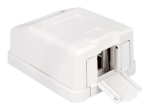 Delock Keystone seinale paigaldatav kast valge