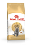 Royal Canin British Shorthair t&auml;iskasvanud kasside kuiv toit 4 kg