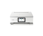 Canon PIXMA TS8751 valge mitmeotstarbeline printer