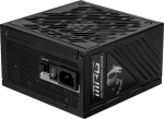 MSI MPG A1250GS 1250W PCIE5 80+ Kuldne toiteplokk (306-7ZPFX11-CE0)