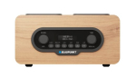 Blaupunkt DR10CR kaasaskantav pruun, must raadio