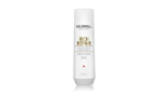 Goldwell Dualsenses Rich Repair Restoring Shampoo 250 ml