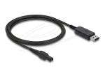 Delock 4-pin USB Type A Mees-2-pin Mees 1m V&otilde;imsuskaabel
