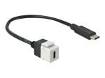 Delock Keystone moodul USB Type-C kaabel 25cm valge