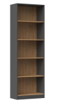 Topeshop R60 ANT/ART kontori raamatukogu