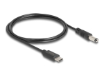 DeLOCK 24 pin USB-C kuni 5.5 mm DC toitekaabel, 1m