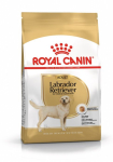 ROYAL CANIN Labrador T&auml;iskasvanud - kuiv koeratoit - 12 kg