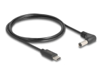 DeLOCK 24 pin USB-C ainult toide kuni 5.5 mm DC toitekaabel, 1.5m