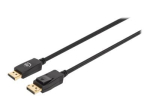 Manhattan 20 pin DisplayPort ise-ise meeskond 2m must kaabel