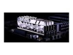 G.Skill Trident Z Royal Elite DDR4 SDRAM 64GB kit CL16 Non-ECC DIMM 288-PIN