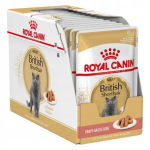 ROYAL CANIN British Shorthair - m&auml;rgist kassitoit - 12 x 85g