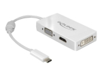 Delock V&auml;line Videoadapter