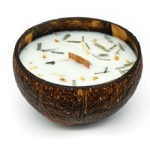 Candle in Coconut - lemongrass & ginger