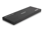 Delock HDMI Video/Audio Splitter
